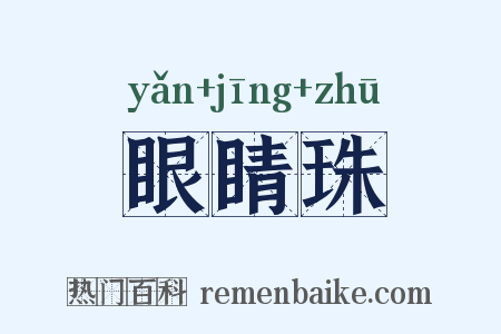 眼睛珠是什么意思的图片